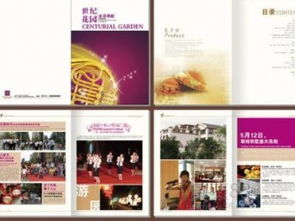 图文设计 视觉与文字的和谐交响